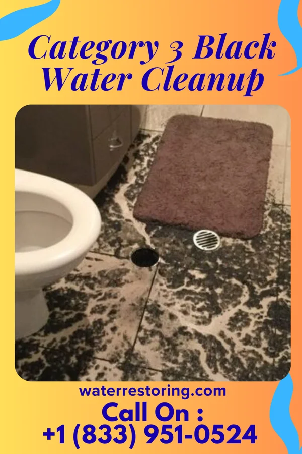 Category 3 Black Water Cleanup in Tracy City, TN
