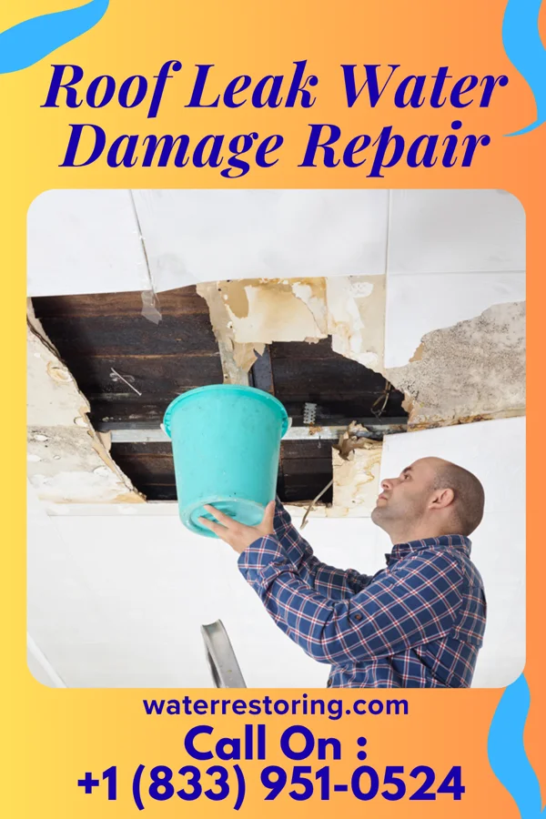 Roof Leak Water Damage Repair in Tracy City, TN
