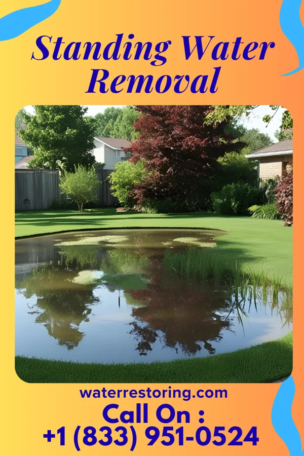 Standing Water Removal in Tracy City, TN